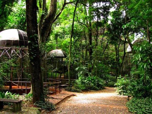 ROTEIRO! Conheça os 7 atrativos totalmente gratuitos em Foz do Iguaçu! ROTEIRO! Conheça os 7 atrativos totalmente gratuitos em Foz do Iguaçu!