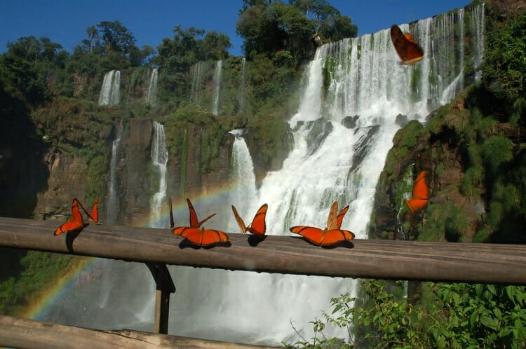 Dicas: Como aproveitar o dia das mães em Foz do Iguaçu Dicas: Como aproveitar o dia das mães em Foz do Iguaçu