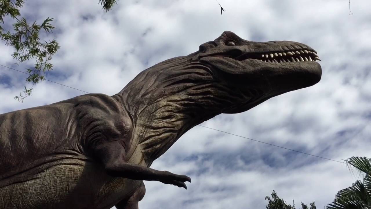 Veja todas as atrações que estão dentro do Complexo Dreamland dinossauro