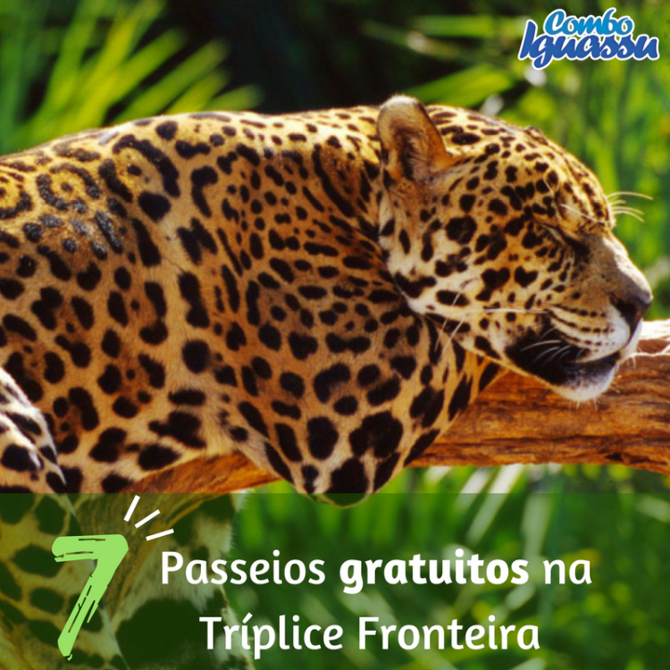 ROTEIRO! Conheça os 7 atrativos totalmente gratuitos em Foz do Iguaçu!
