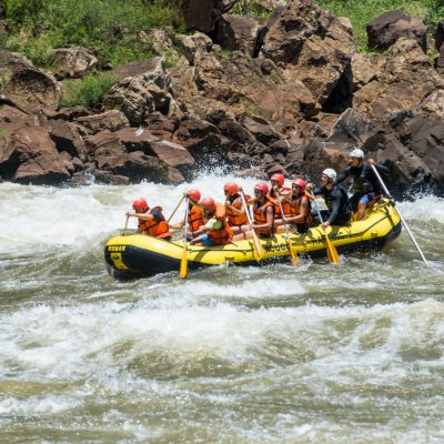 Macuco - Foto Marcos Labanca (275)
