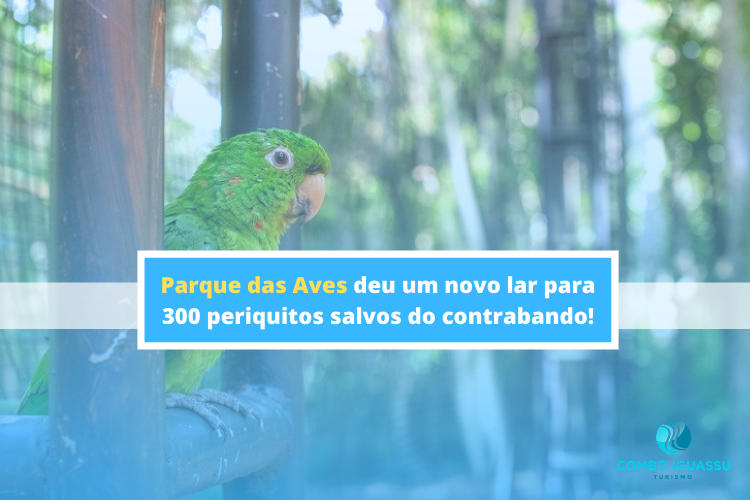 Parque das Aves deu um novo lar para 300 periquitos salvos do contrabando!