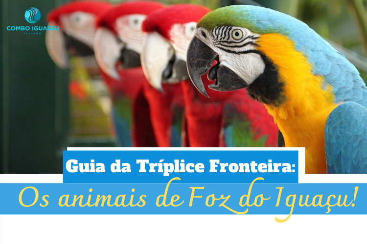 Guia da Tríplice Fronteira: Os animais de Foz do Iguaçu!