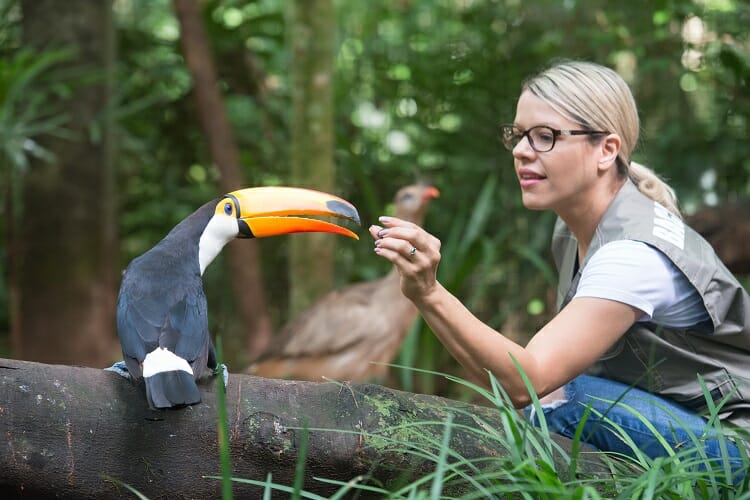 Parque das Aves - Visitante alimentando tucano - Onde se hospedar em Foz do Iguaçu?