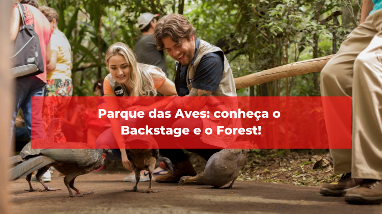 Parque das Aves: conheça o Backstage e o Forest!