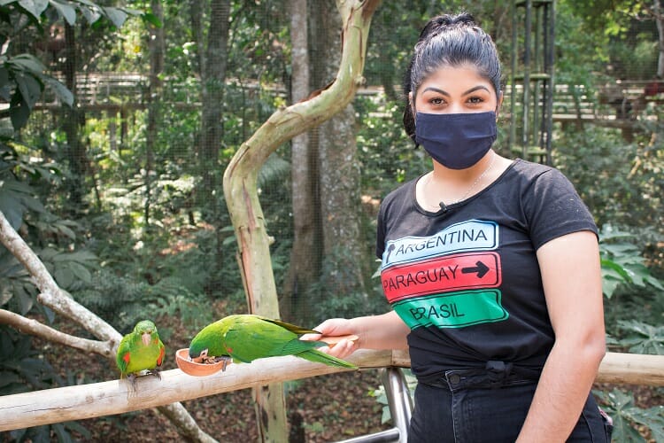 Parque das Aves/ Passáros se alimentando/ destinos turísticos de Foz do Iguaçu