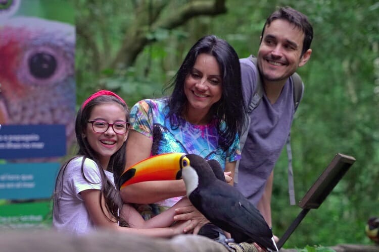 Parque das Aves - (Guia) Melhores Lugares para visitar em Foz do Iguaçu em 2021!