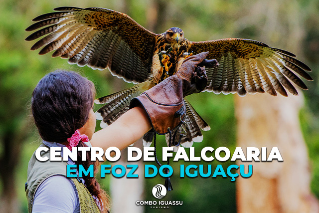 Centro de Falcoaria em Foz do Iguaçu – O que é, onde fica e dicas!