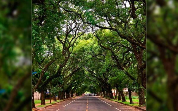 Rua Pedro Basso