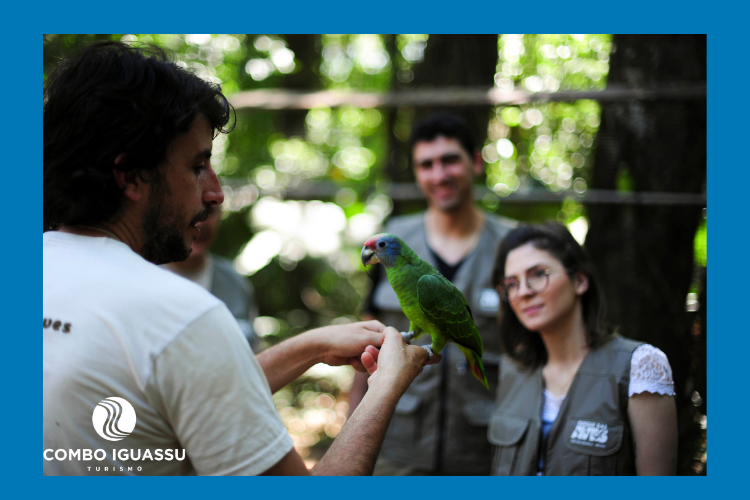 Viajar com crianças para um lugar com aves exóticas é incrível.