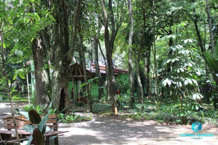 Bosque Guarani e sua mata linda.