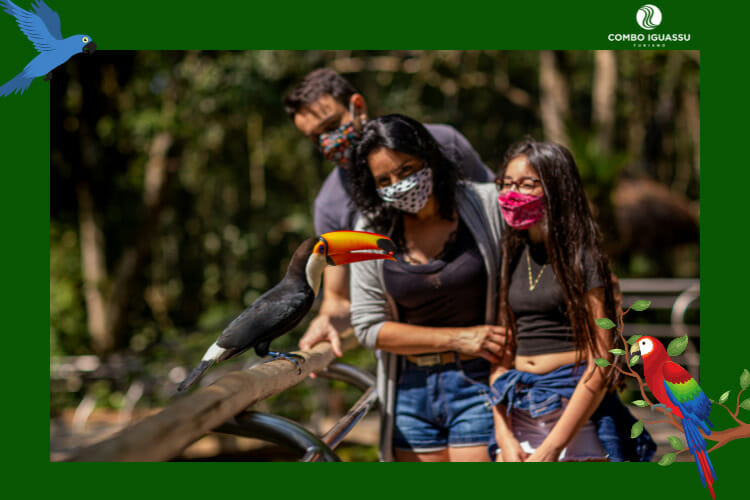 Família observando de pertinho um tucano belíssimo!