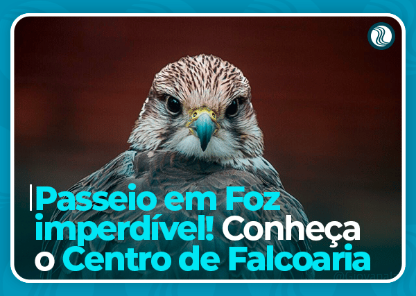 centro-de-falcoaria