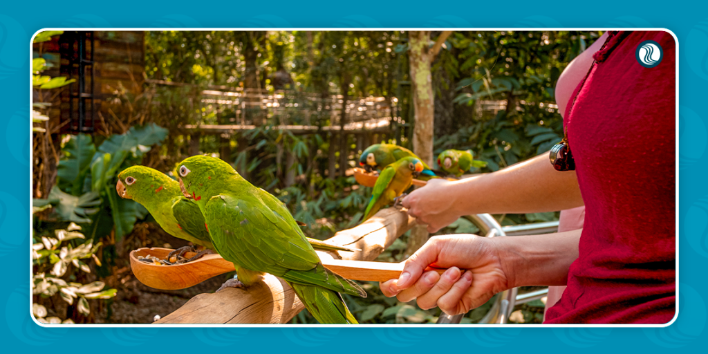 Parque das Aves