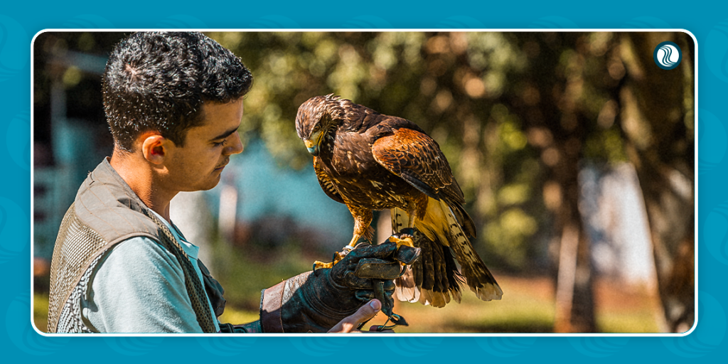 Centro de Falcoaria em Foz do Iguaçu