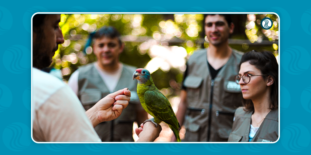 Conecta - Parque das Aves