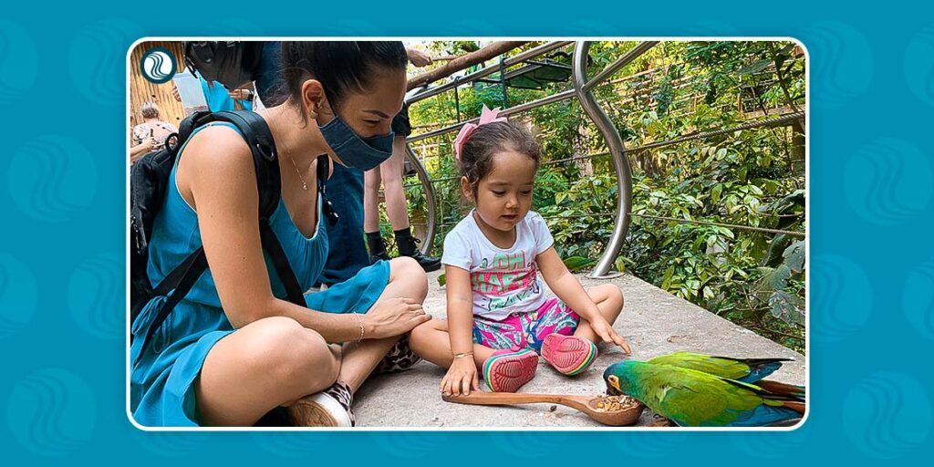 Parque das Aves | Viagem com crianças para Foz do Iguaçu