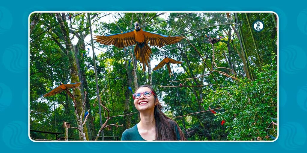 Parque das Aves em Foz do Iguaçu