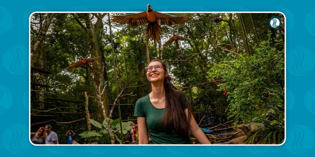 Parque das Aves em Foz do Iguaçu