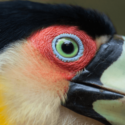 Captura de tela 2025-01-21 124244