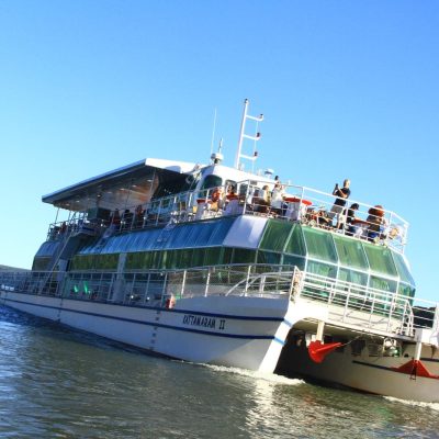 WhatsApp-Image-2024-08-28-at-09.42.40-10-1