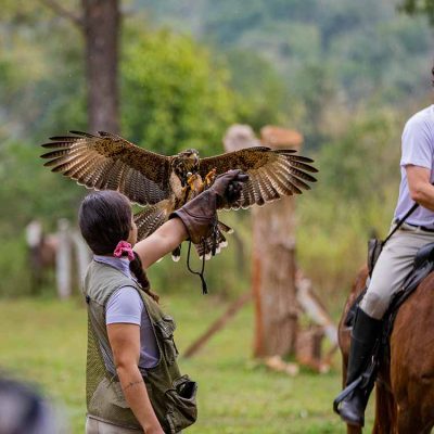 prod-passeios-55 (1)