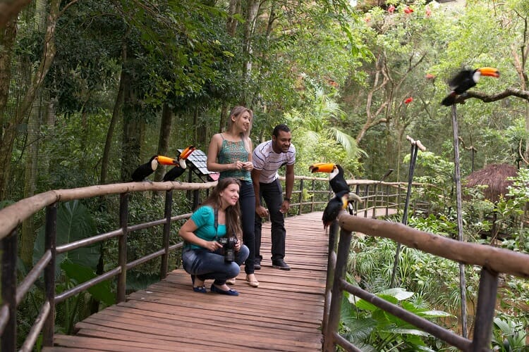 Passeios imperdíveis no Parque das Aves em Foz do Iguaçu