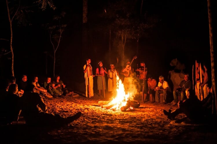 Passeios imperdíveis no Parque das Aves em Foz do Iguaçu
