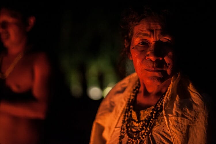 Passeios imperdíveis no Parque das Aves em Foz do Iguaçu