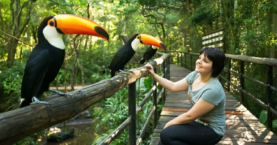 Quais são os 4 passeios em Foz do Iguaçu que você não pode deixar de fazer aves
