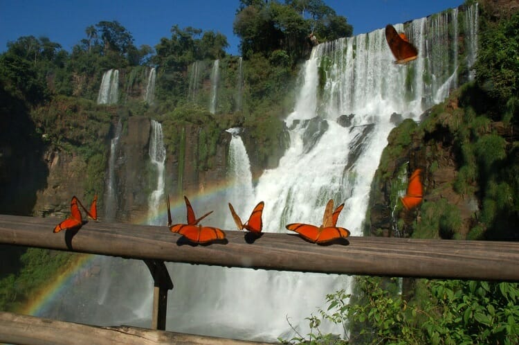 8 dicas especiais para sua viagem a Foz do Iguaçu. 8 dicas especiais para sua viagem a Foz do Iguaçu.