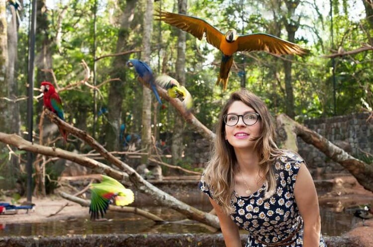 Saiba quais são os 6 passeios com preço mais em conta na Combo Iguassu. Saiba quais são os 6 passeios com preço mais em conta na Combo Iguassu.