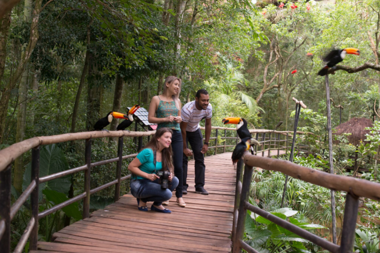 Que tal viajar para Foz do Iguaçu no Dia das Crianças? Confira 15 dicas para se divertir com a garotada. parque das aves no dia das crianças