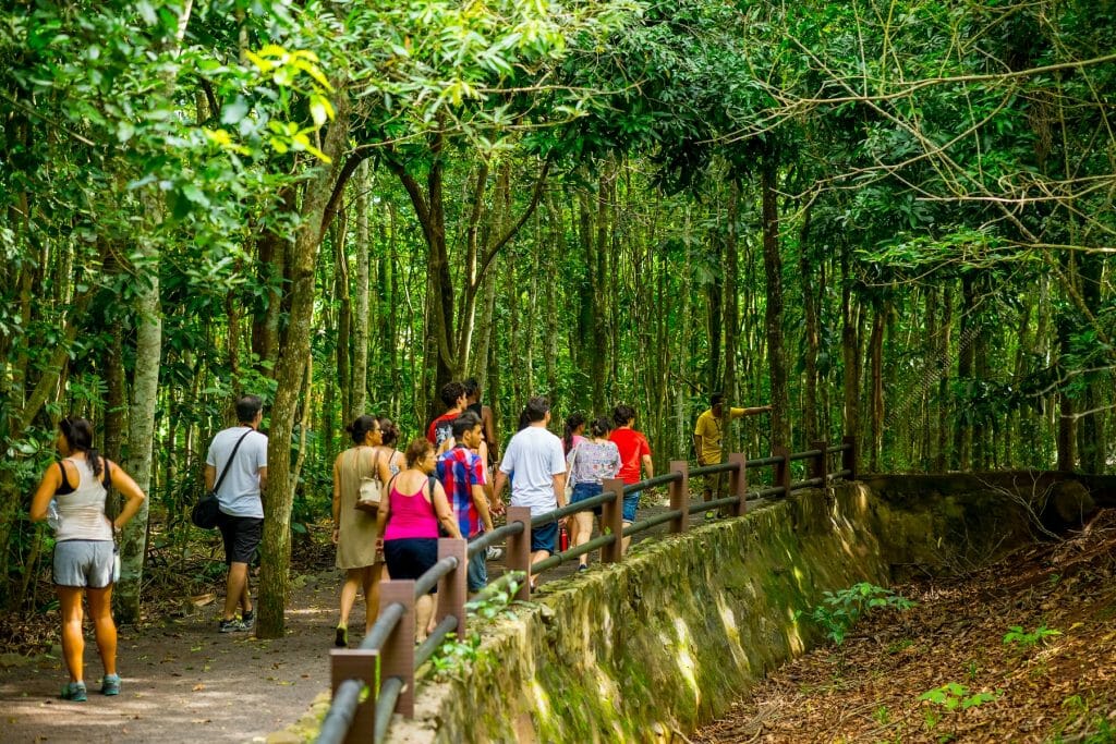 Descubra as melhores curiosidades sobre a Itaipu e sua construção refugio itaipu Descubra as melhores curiosidades sobre a Itaipu e sua construção refugio itaipu