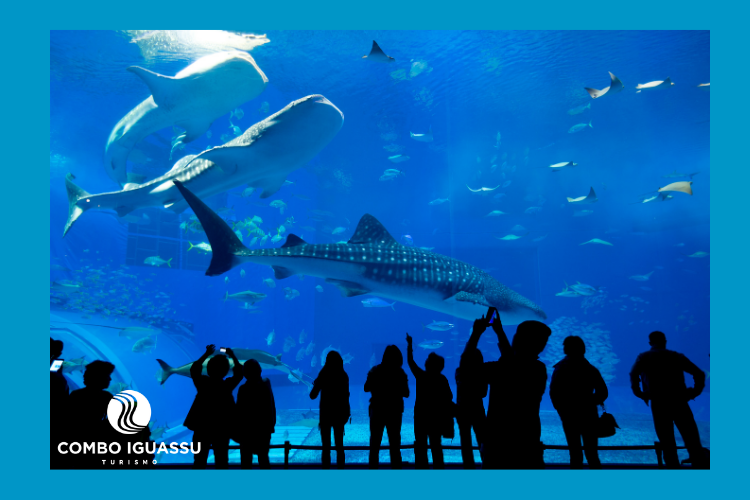 Pessoas observando um aquário, ilustração do AquaFoz Grupo Cataratas.