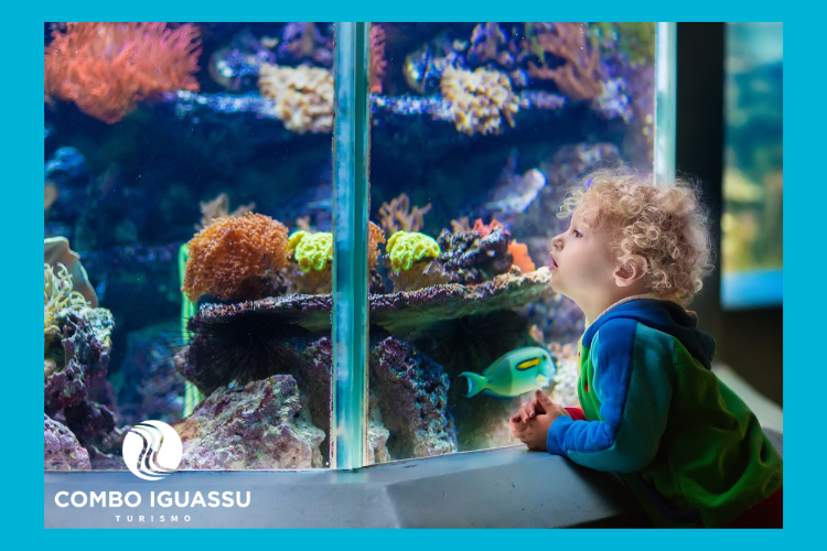 Criança observando aquário com peixes, ilustração do Grupo Cataratas AquaFoz