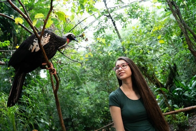 Parque das Aves - Pontos turísticos em Foz do Iguaçu