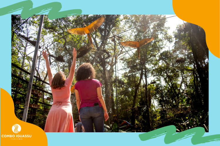Um dos melhores passeios inclusos em um dos pacotes Foz do Iguaçu, no Parque das Aves.