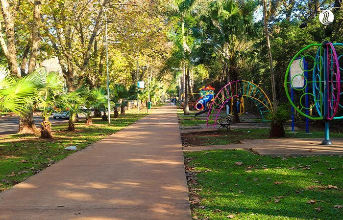 local pet friendly Avenida Paraná