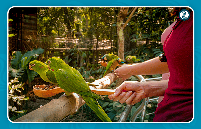 Parque das Aves