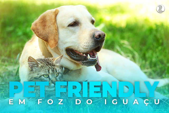 passeios em foz do iguaçu pet friendly