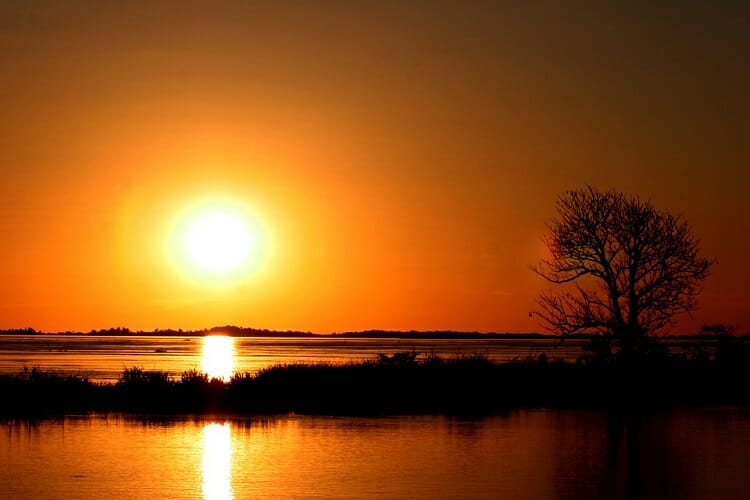 Floresta Amazônica iluminada com o pôr do Sol, uma das Sete Maravilhas da Natureza.