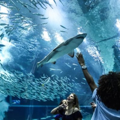 Aquario em Foz do Iguaçu